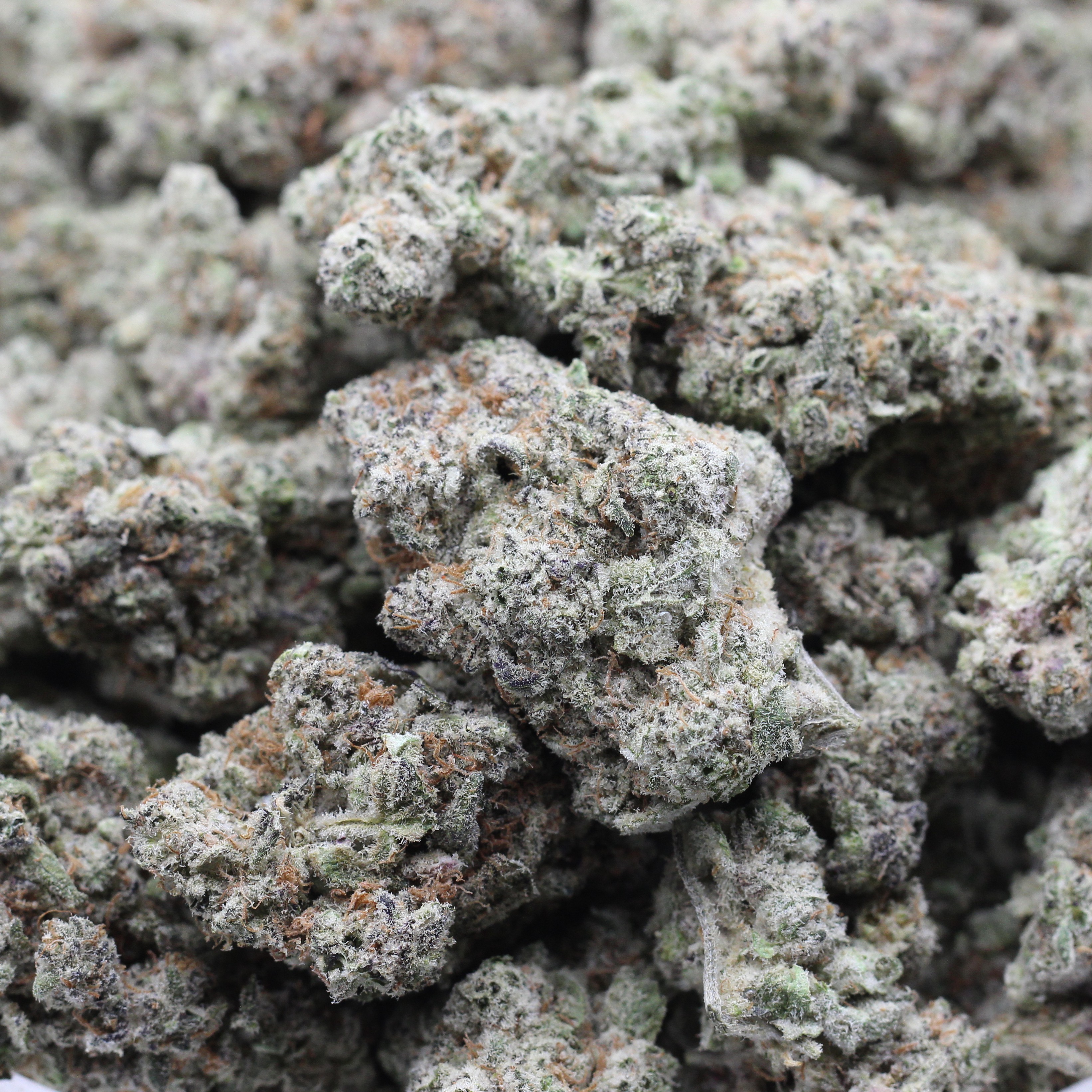 White Fire OG Cookies (AAA) $3.92/gram - Image 2