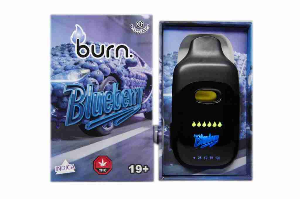 Burn 3 Gram – LCD Disposable – Blueberry (Indica)
