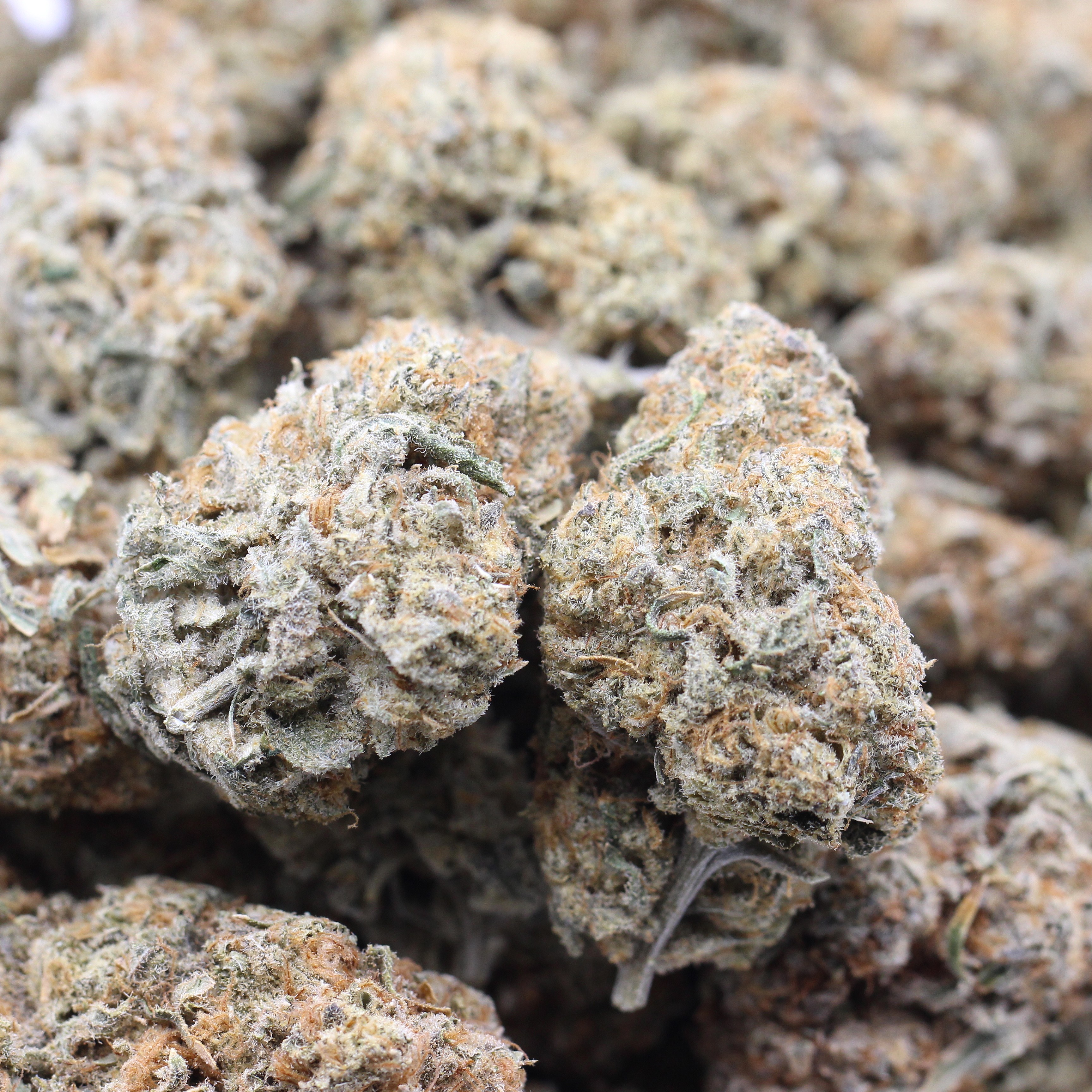 Chimichanga (AAA) $4.29/gram - Image 2