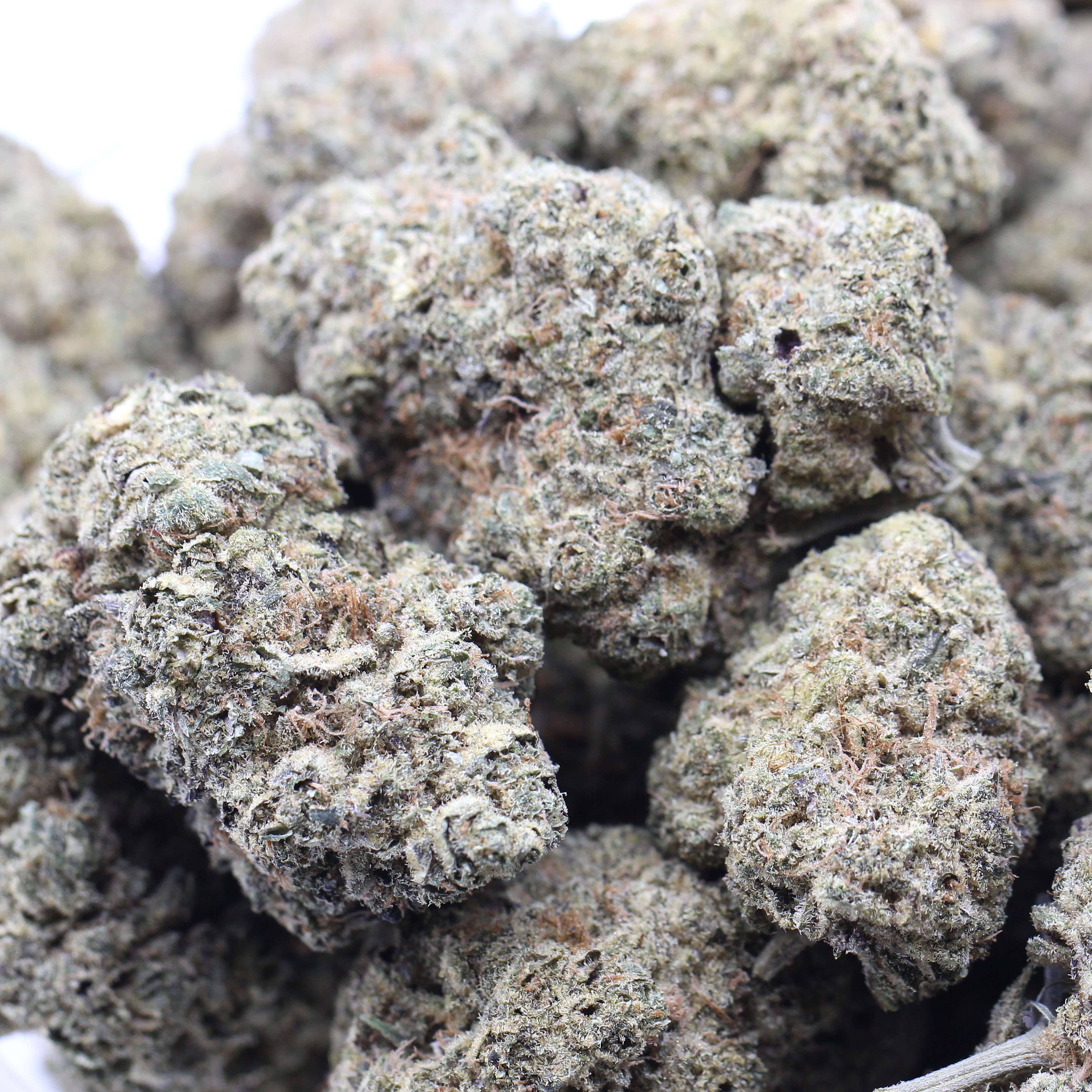 Detriot Runtz (AAAA) $6.07/gram - Image 2