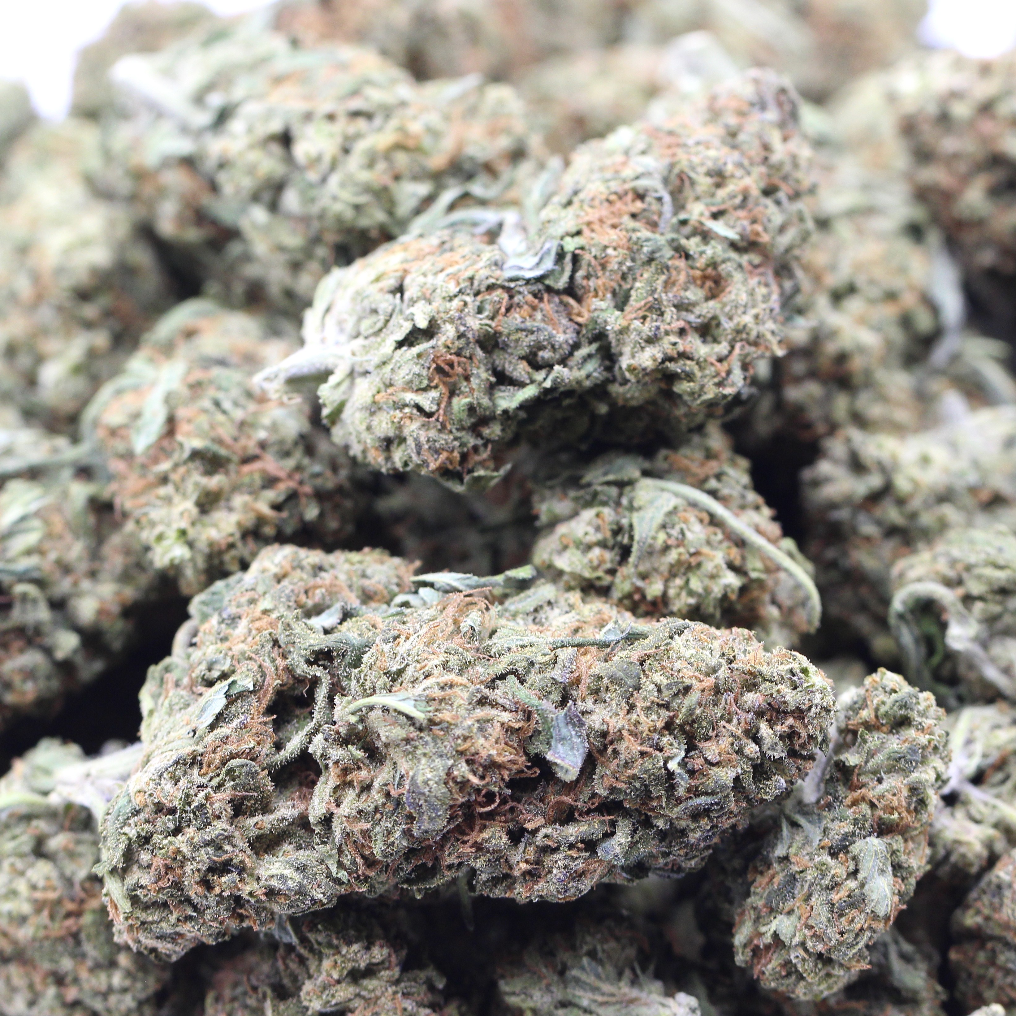 Super Mario (AA+) $2.93/gram - Image 2