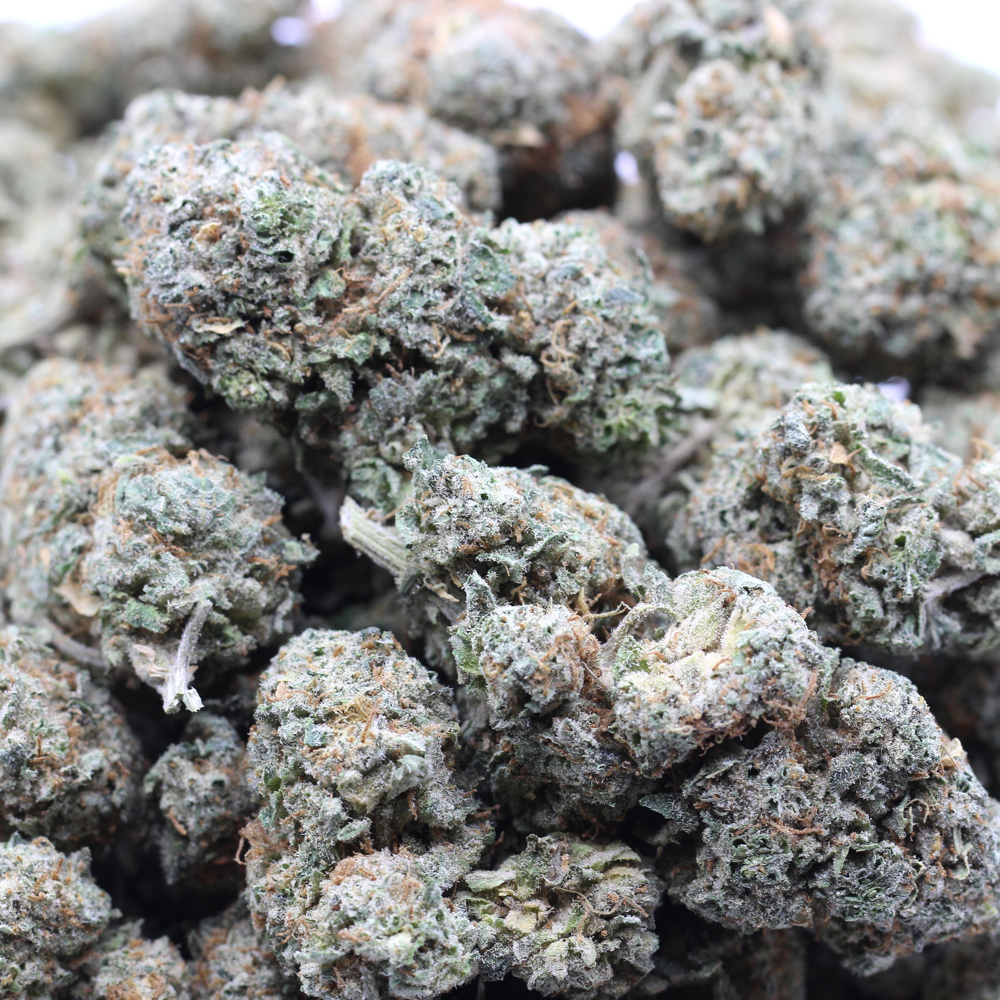 Donkey Butter (AA+) $3.06/Gram - Image 2