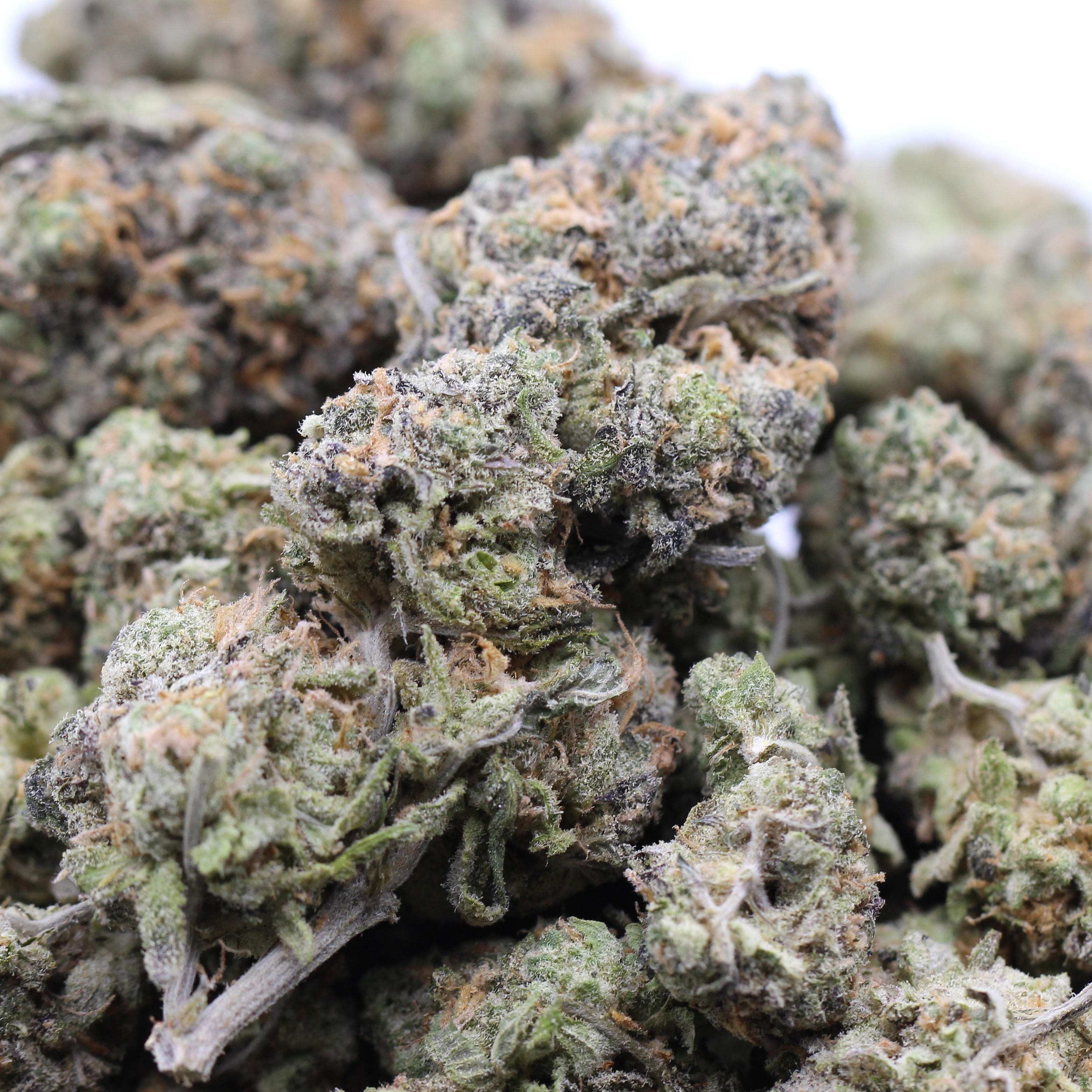 Goudaberry (AAA) $3.75/gram - Image 2