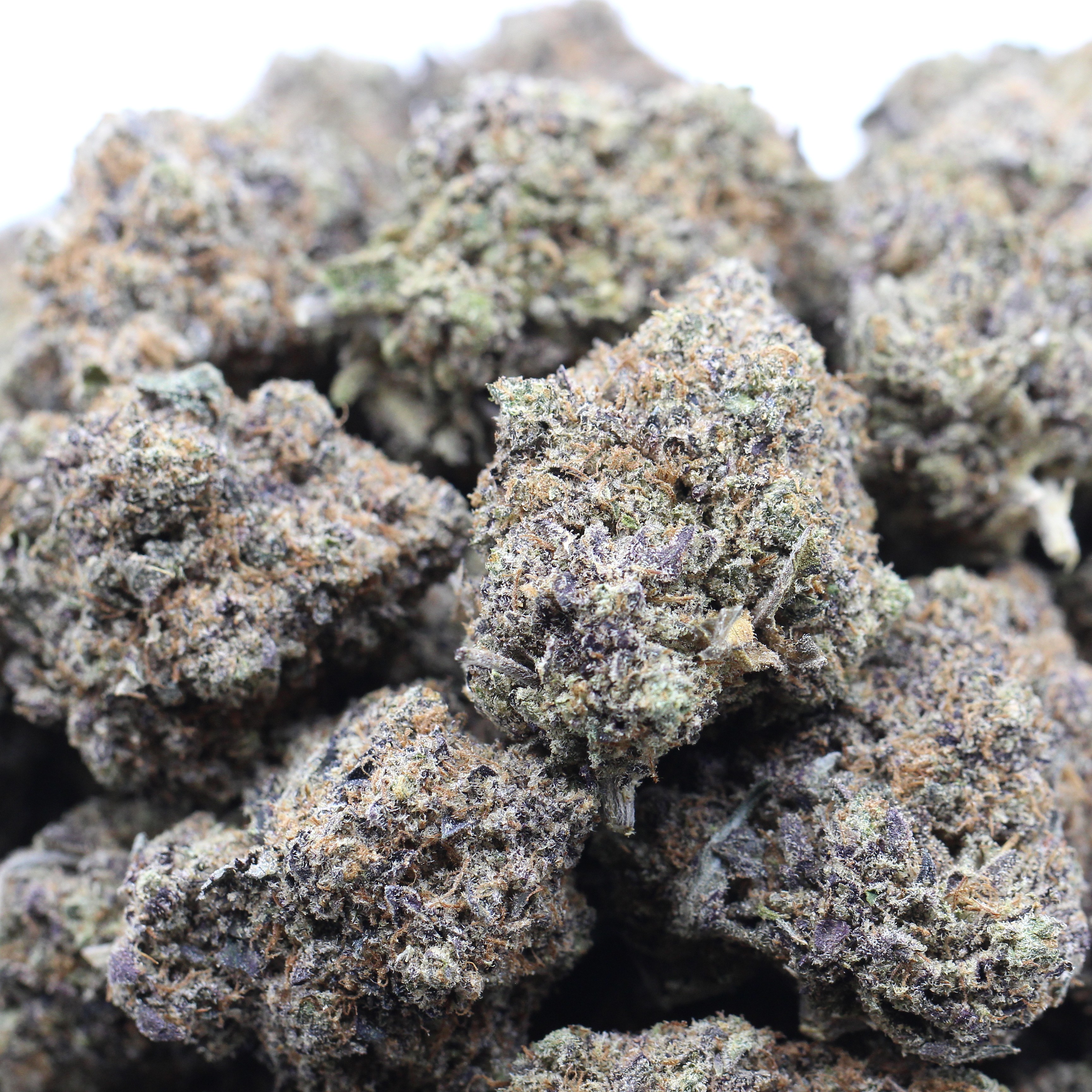 Purple Thunder (AAAA+) $6.25/gram - Image 2