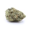 Sherbet (AA+) $3.00/gram