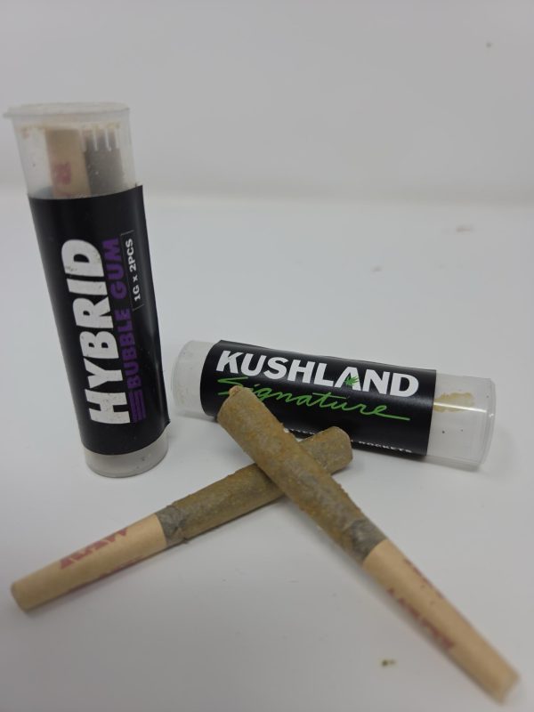 Kushland Premium Shatter - Bubble Gum (Hybrid)