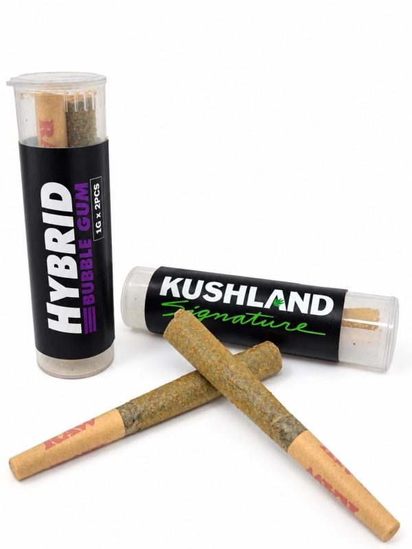 Kushland Premium Shatter - Bubble Gum (Hybrid)